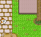 screenshots/Game Boy Color/Hamtaro - Ham-Hams Unite!/Hamtaro - Ham-Hams Unite! (Eng) 016.png